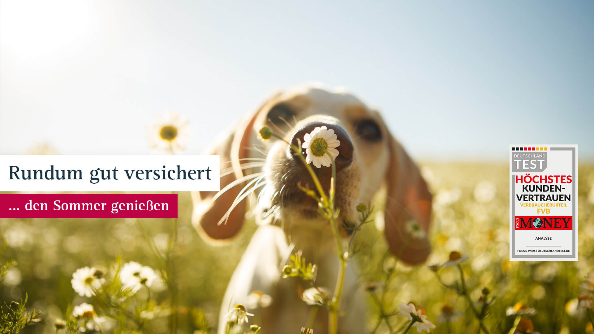 FVB Sommer